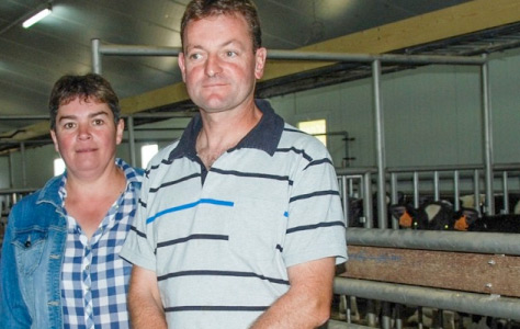 Système pour l'alimentation des veaux